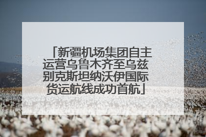 新疆机场集团自主运营乌鲁木齐至乌兹别克斯坦纳沃伊国际货运航线成功首航