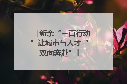 新余“三百行动”让城市与人才“双向奔赴”