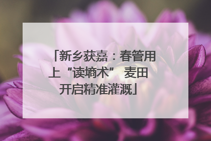 新乡获嘉：春管用上“读墒术” 麦田开启精准灌溉