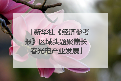新华社《经济参考报》区域头题聚焦长春光电产业发展