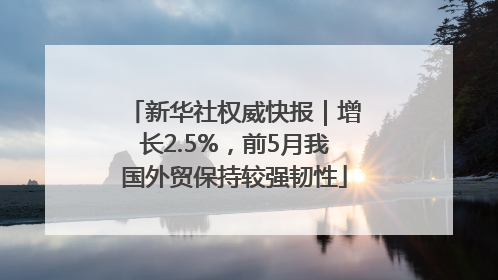 新华社权威快报｜增长2.5%，前5月我国外贸保持较强韧性