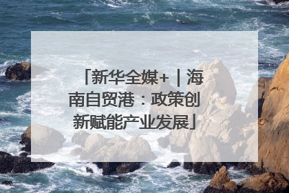 新华全媒+｜海南自贸港：政策创新赋能产业发展