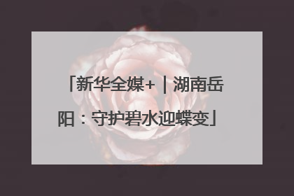 新华全媒+｜湖南岳阳：守护碧水迎蝶变
