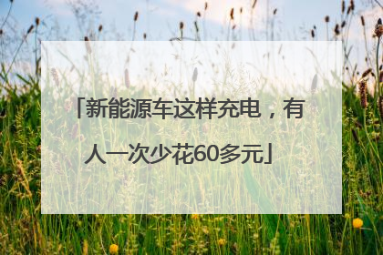 新能源车这样充电，有人一次少花60多元