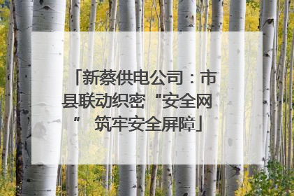新蔡供电公司：市县联动织密“安全网” 筑牢安全屏障