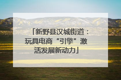 新野县汉城街道：玩具电商“引擎”激活发展新动力