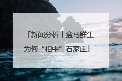 新闻分析丨盒马鲜生为何“相中”石家庄