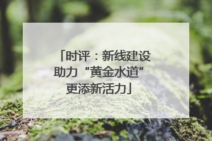 时评：新线建设助力“黄金水道”更添新活力