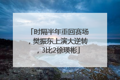 时隔半年重回赛场，樊振东上演大逆转，3比2徐瑛彬