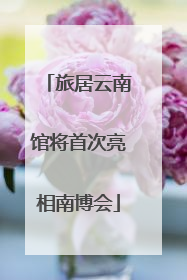 旅居云南馆将首次亮相南博会