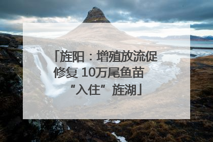 旌阳：增殖放流促修复 10万尾鱼苗“入住”旌湖
