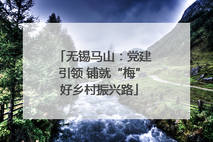 无锡马山：党建引领 铺就“梅”好乡村振兴路