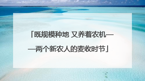 既规模种地 又养着农机——两个新农人的麦收时节