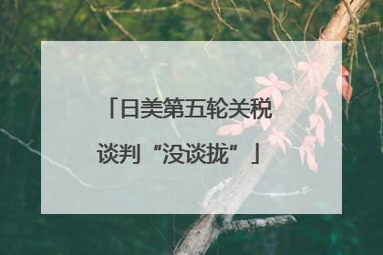 日美第五轮关税谈判“没谈拢”