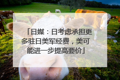 日媒：日考虑承担更多驻日美军经费，美可能进一步提高要价
