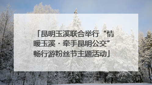 昆明玉溪联合举行“情暖玉溪・牵手昆明公交”畅行游粉丝节主题活动