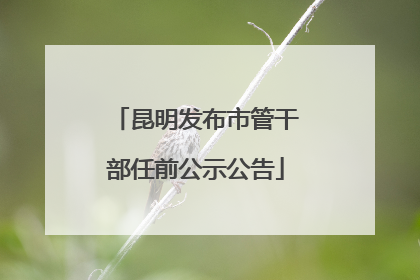 昆明发布市管干部任前公示公告