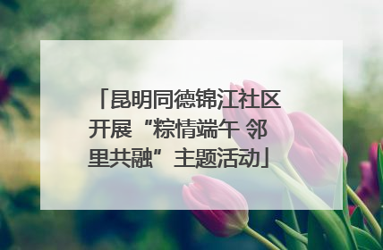 昆明同德锦江社区开展“粽情端午 邻里共融”主题活动