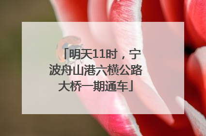 明天11时，宁波舟山港六横公路大桥一期通车