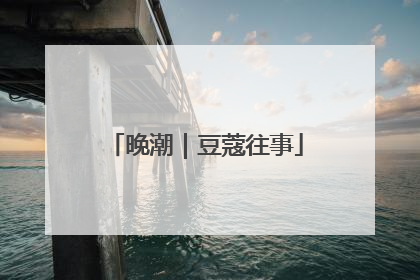 晚潮｜豆蔻往事