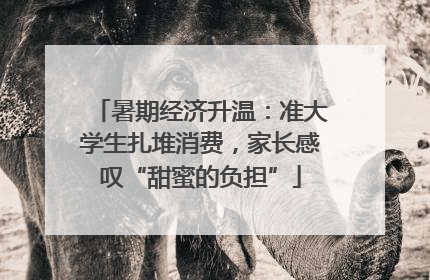 暑期经济升温：准大学生扎堆消费，家长感叹“甜蜜的负担”