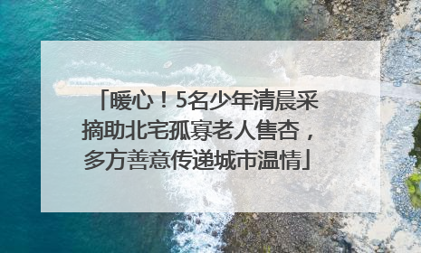 暖心！5名少年清晨采摘助北宅孤寡老人售杏，多方善意传递城市温情