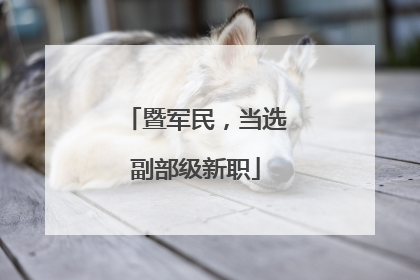 暨军民，当选副部级新职