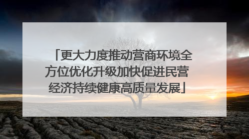 更大力度推动营商环境全方位优化升级加快促进民营经济持续健康高质量发展