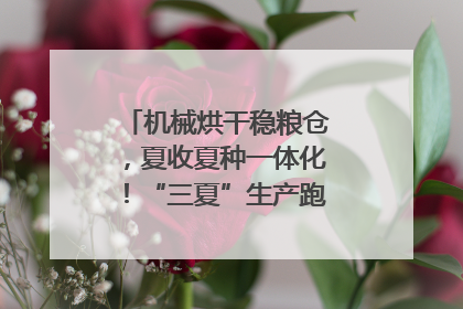 机械烘干稳粮仓，夏收夏种一体化！“三夏”生产跑出加速度｜麦报