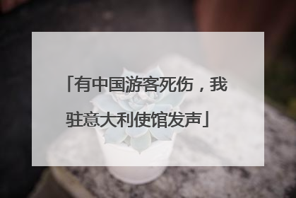 有中国游客死伤，我驻意大利使馆发声