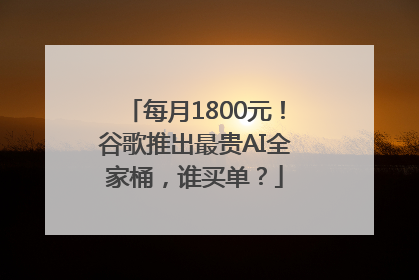 每月1800元！谷歌推出最贵AI全家桶，谁买单？