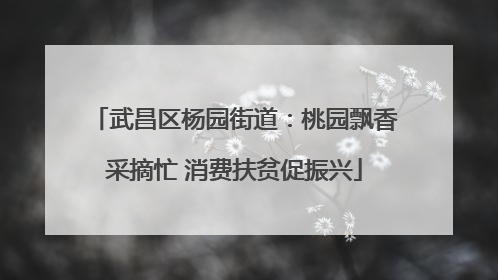 武昌区杨园街道：桃园飘香采摘忙 消费扶贫促振兴