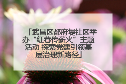 武昌区都府堤社区举办“红巷传薪火”主题活动 探索党建引领基层治理新路径