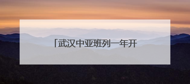 武汉中亚班列一年开行量同比增长72%