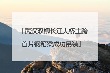 武汉双柳长江大桥主跨首片钢箱梁成功吊装