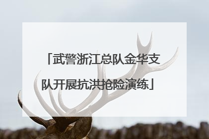 武警浙江总队金华支队开展抗洪抢险演练
