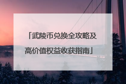 武陵币兑换全攻略及高价值权益收获指南
