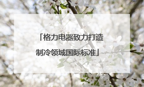 格力电器致力打造制冷领域国际标准