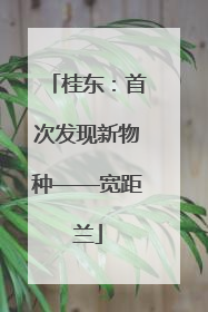 桂东：首次发现新物种——宽距兰