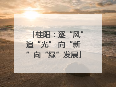 桂阳：逐“风”追“光” 向“新”向“绿”发展