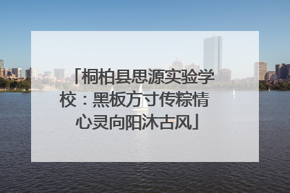 桐柏县思源实验学校：黑板方寸传粽情 心灵向阳沐古风