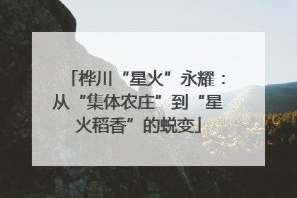 桦川“星火”永耀：从“集体农庄”到“星火稻香”的蜕变