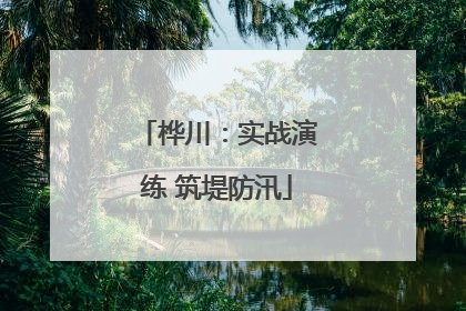 桦川：实战演练 筑堤防汛