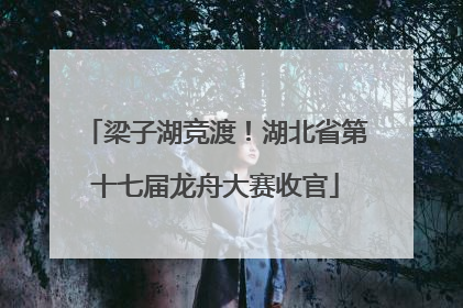 梁子湖竞渡！湖北省第十七届龙舟大赛收官