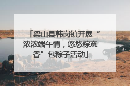 梁山县韩岗镇开展“浓浓端午情，悠悠粽意香”包粽子活动