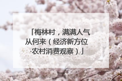 梅林村，满满人气从何来（经济新方位·农村消费观察）
