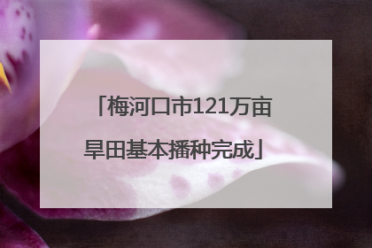 梅河口市121万亩旱田基本播种完成