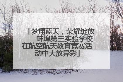 梦翔蓝天，荣耀绽放——蚌埠第三实验学校在航空航天教育竞赛活动中大放异彩