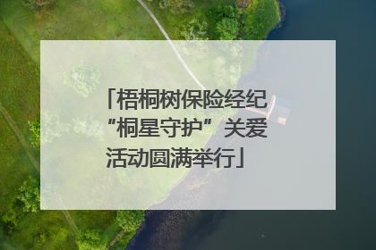 梧桐树保险经纪“桐星守护”关爱活动圆满举行