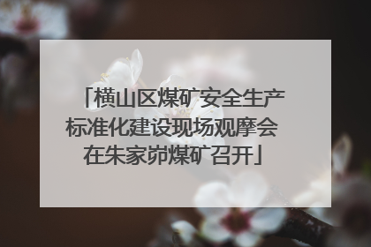 横山区煤矿安全生产标准化建设现场观摩会在朱家峁煤矿召开